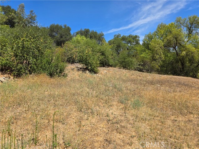 Detail Gallery Image 10 of 12 For 23311 Valdez Rd, Topanga,  CA 90290 - – Beds | – Baths
