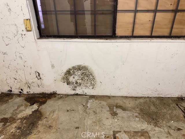 8008 Aura Avenue, Reseda CA: https://media.crmls.org/medias/53f7c304-567f-467a-b671-8ec2e60ed4ce.jpg