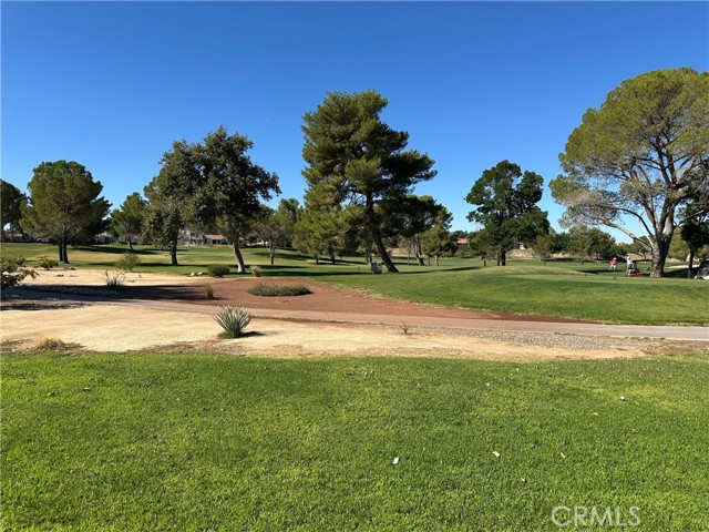 14767 Greenbriar Drive, Helendale CA: https://media.crmls.org/medias/53f9ac6f-1721-460d-bc60-295803600f44.jpg