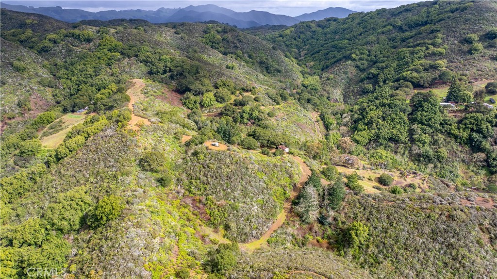 3395 Wallace Mountain Road