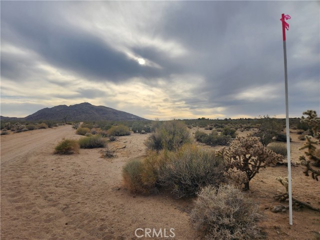 Detail Gallery Image 11 of 23 For 4147 Sunburst St, Joshua Tree,  CA 92252 - – Beds | – Baths