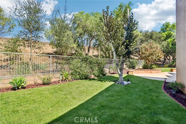 11479 Amberridge Court photo 25
