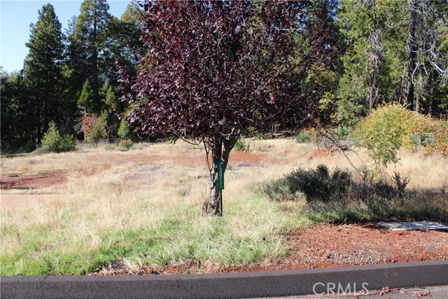 Front Image Thumbnail for CRSN25248391