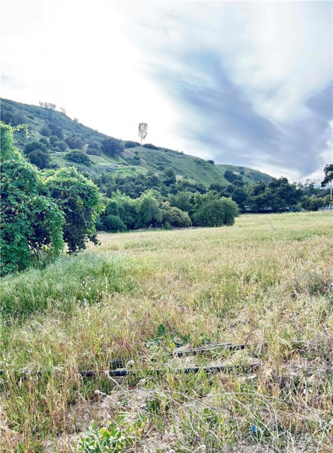 Front Image Thumbnail for CRSR26057718