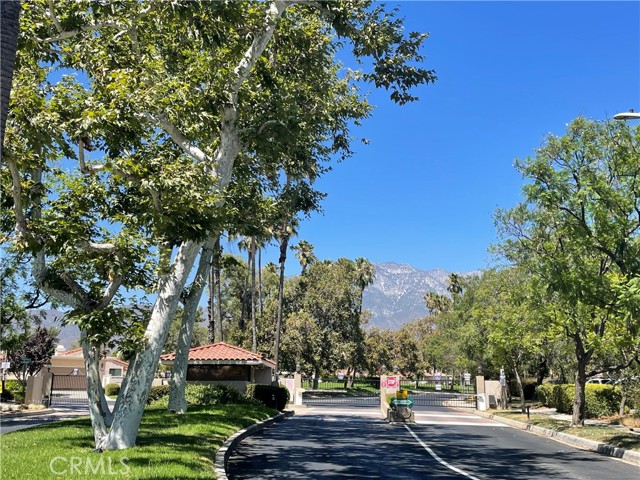 Detail Gallery Image 42 of 49 For 1595 Sawgrass Dr, Upland,  CA 91784 - 3 Beds | 2/1 Baths