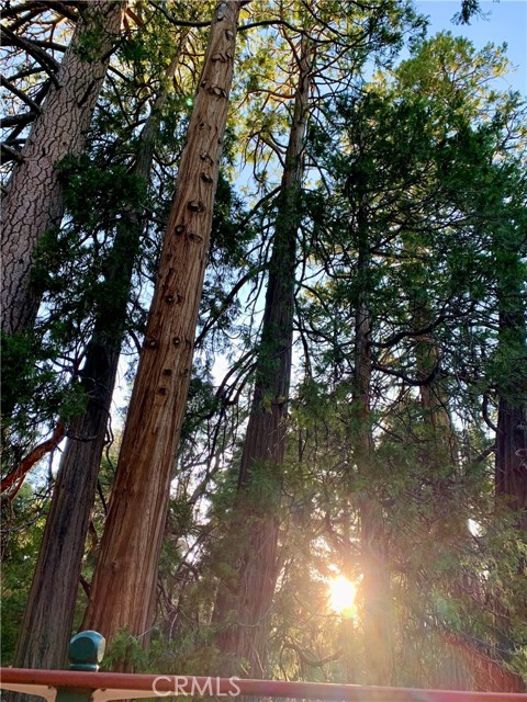 Detail Gallery Image 55 of 57 For 120 Barton Flats, Angelus Oaks,  CA 92305 - 2 Beds | 1 Baths