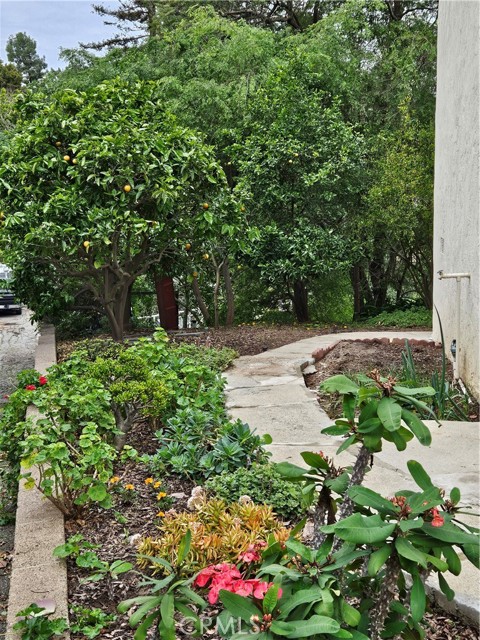 Detail Gallery Image 38 of 48 For 26349 Hillcrest Ave, Lomita,  CA 90717 - 5 Beds | 2 Baths