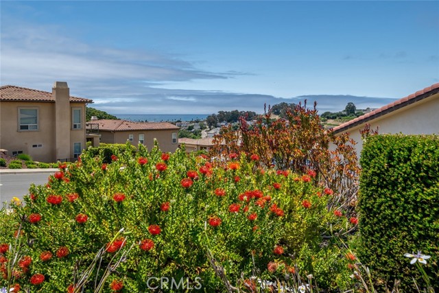 Detail Gallery Image 3 of 60 For 146 Clydell Court, Pismo Beach,  CA 93449 - 3 Beds | 2/1 Baths