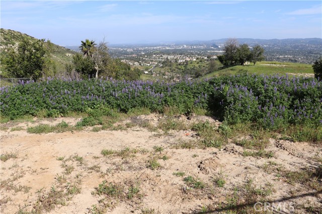 Detail Gallery Image 2 of 4 For 150 Dapplegray Rd, Bell Canyon,  CA 91307 - – Beds | – Baths