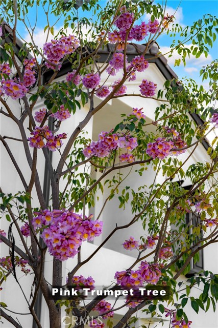 Detail Gallery Image 4 of 41 For 21026 E Cypress St, Covina,  CA 91724 - 4 Beds | 3 Baths