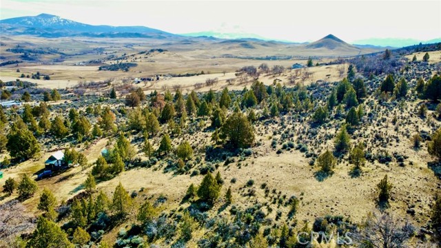 0 Black Mountain Rd, Hornbrook, California 96044, ,Land,For Sale,0 Black Mountain Rd,CRSN23023237