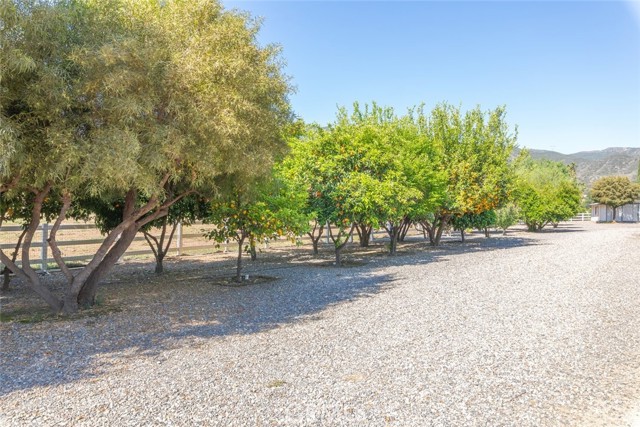 Detail Gallery Image 64 of 75 For 23965 Lawson Rd, Corona,  CA 92883 - 4 Beds | 3/1 Baths