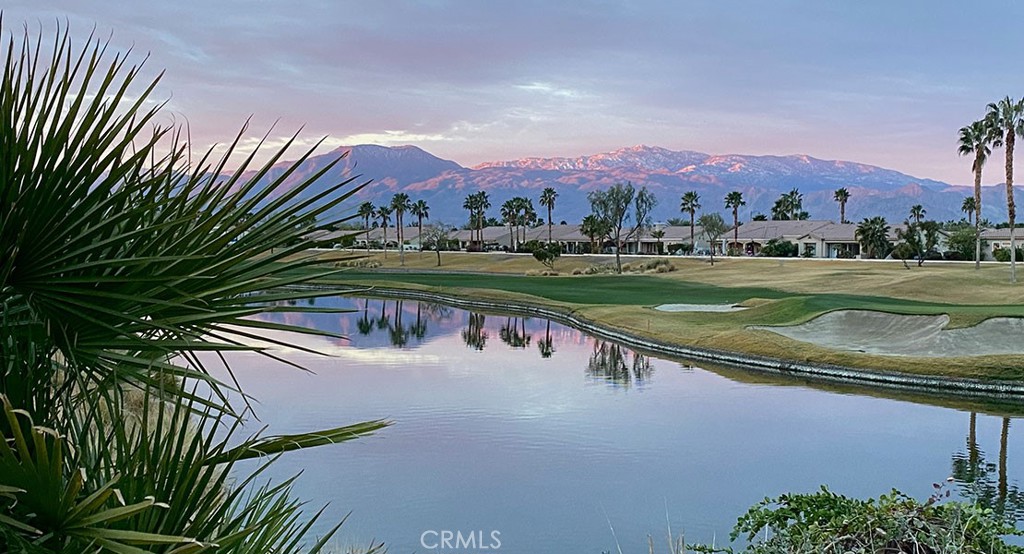 MLS #SW25251514 image #45