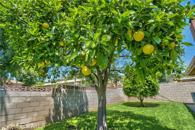 Detail Gallery Image 28 of 43 For 1272 W 25th St, Upland,  CA 91784 - 3 Beds | 2 Baths