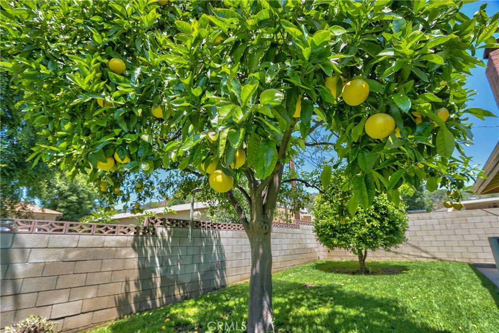 https://media.crmls.org/medias/542c53b6-2bc0-400e-8821-341468e26d09.jpg?preset=X-Large