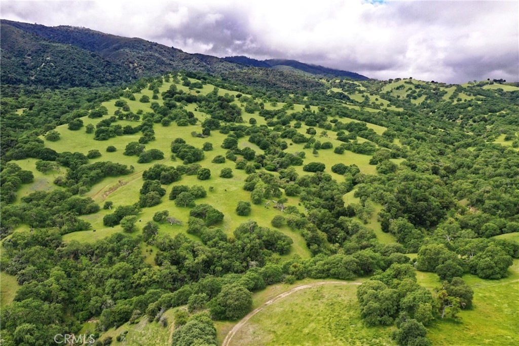 MLS #NS25260636 image #6