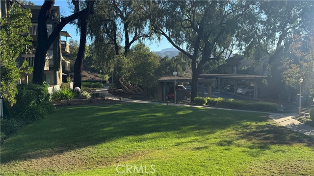 Community lawn