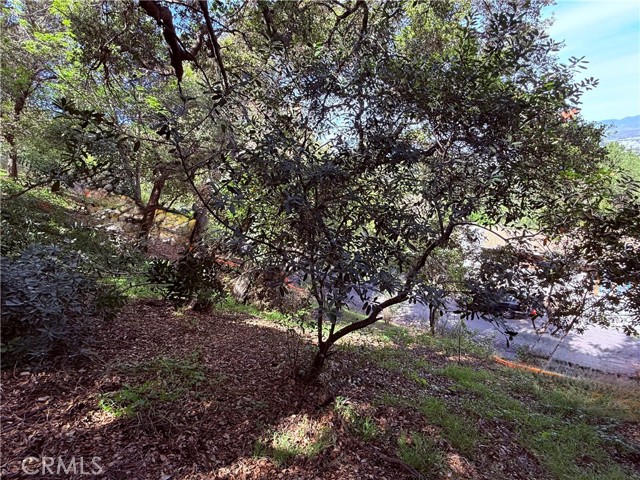 11472 Laurelcrest dr, Studio City CA: https://media.crmls.org/medias/54343c93-73fc-44c5-9f6e-4b2fd3700a9b.jpg