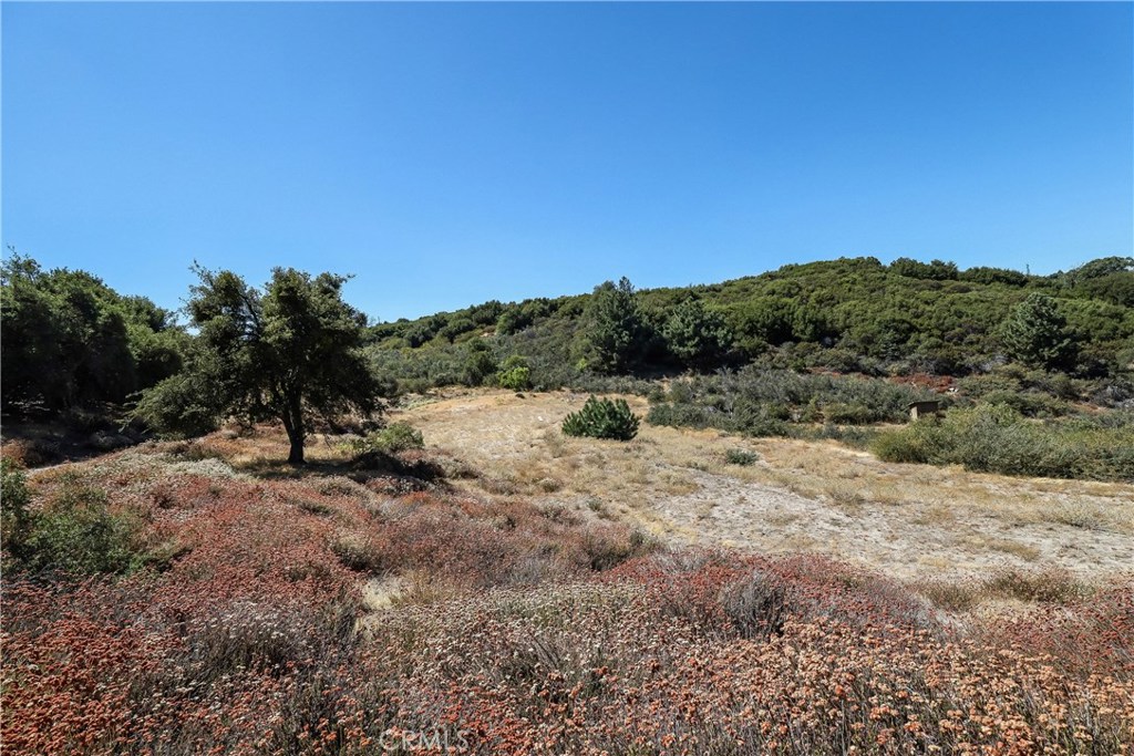 MLS #IV22001970 image #10