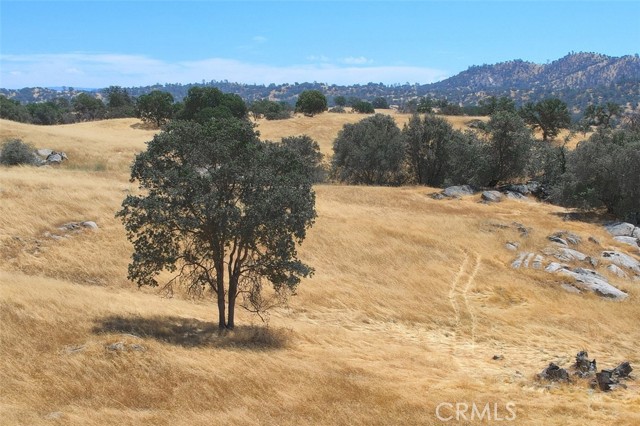 Detail Gallery Image 1 of 10 For 0 36.94 Ac Rolling Oaks, Friant,  CA 93626 - – Beds | – Baths