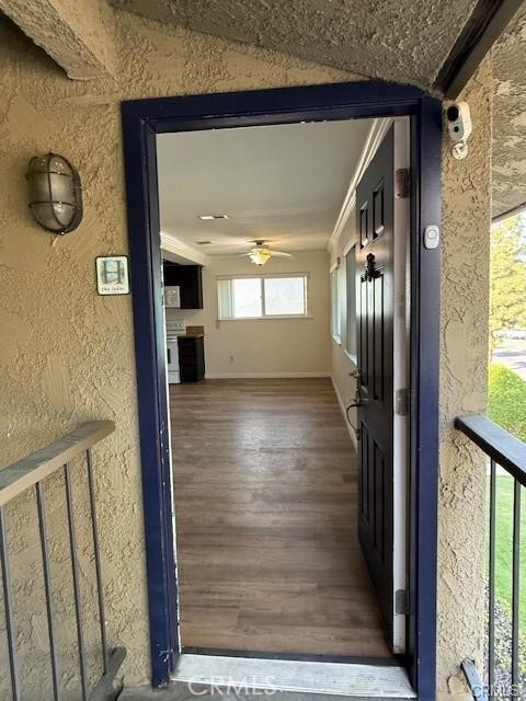 Front Image Thumbnail for CRIG26038010