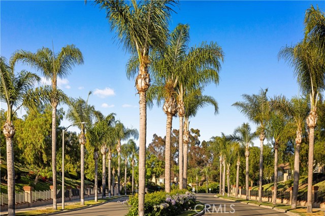 27684 Manor Hill Road, Laguna Niguel CA: https://media.crmls.org/medias/5440b71d-d5f2-4f23-aab3-64d3a2211e92.jpg