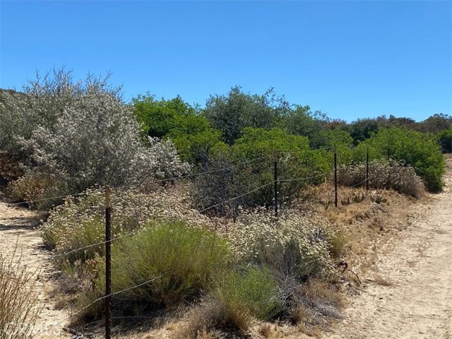 42729 Wild Horse, Anza, CA, 92539 42729 Wild Horse, Anza, CA, 92539