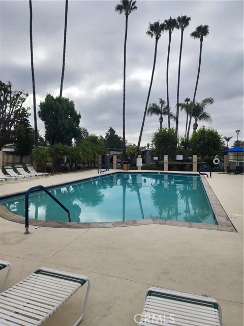 Detail Gallery Image 26 of 34 For 24921 Muirlands Bld #265,  Lake Forest,  CA 92630 - 2 Beds | 2 Baths