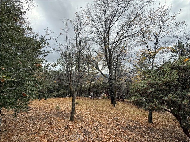 Detail Gallery Image 5 of 7 For 0 Yosemite Dr, Lake Arrowhead,  CA 92352 - – Beds | – Baths