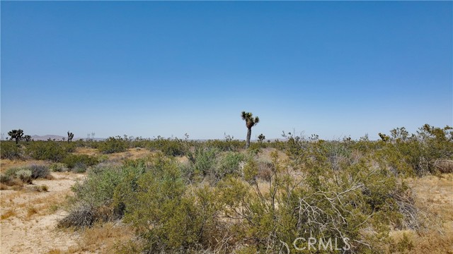 Detail Gallery Image 3 of 14 For 0 Vicinity Ave U-2 & 257th E, Llano,  CA 93544 - – Beds | – Baths