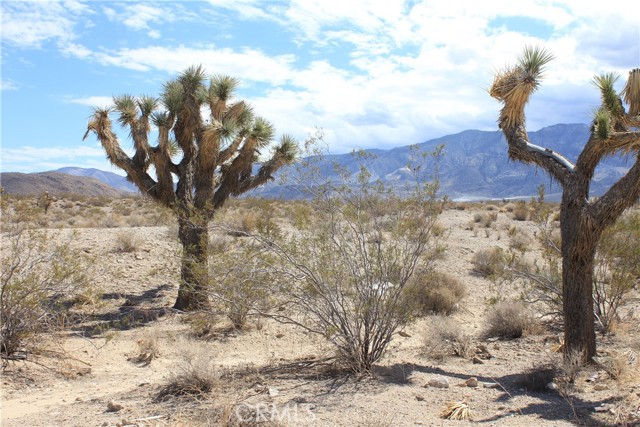 Detail Gallery Image 27 of 71 For 769 Meridian Rd, Lucerne Valley,  CA 92356 - – Beds | – Baths