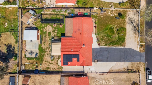 Image 31 of 34 For 12471 Sage Grouse