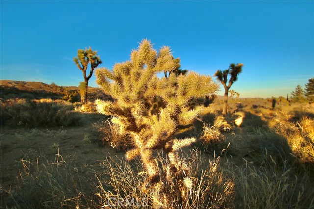 0 Onaga/Navajo, Yucca Valley, California 92284, ,Land,For Sale,0 Onaga/Navajo,CRJT20027277