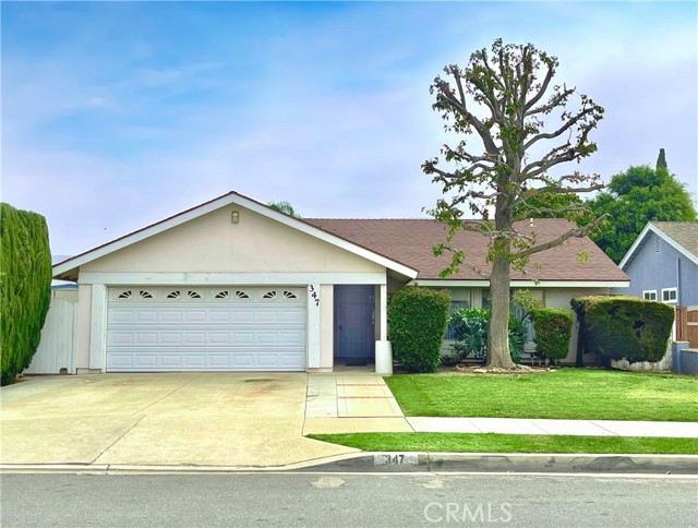 347 N Esplanade St, Orange, CA 92869