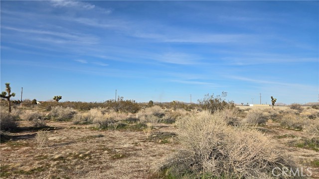 Detail Gallery Image 4 of 21 For 0 115th St East S/O Ave S, Littlerock,  CA 93543 - – Beds | – Baths