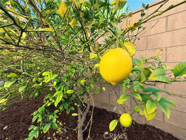 Detail Gallery Image 52 of 72 For 32102 Elk Grove Ct, Temecula,  CA 92592 - 4 Beds | 3/1 Baths