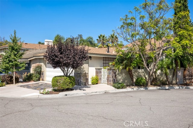 Photo #2: NP23173539 Listing 