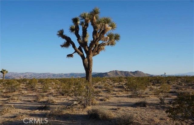 Front Image Thumbnail for CRJT26088340