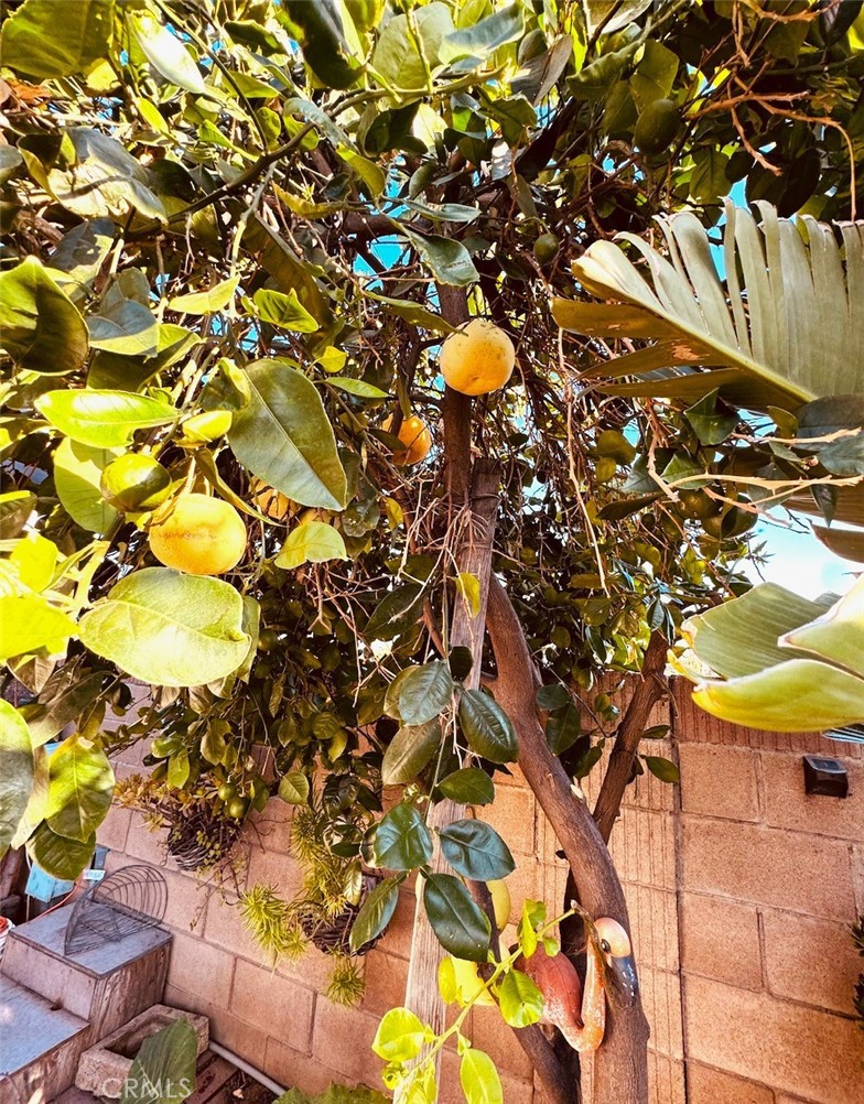 https://media.crmls.org/medias/54626edf-0363-41ee-8642-dbf5fce0da92.jpg?preset=X-Large