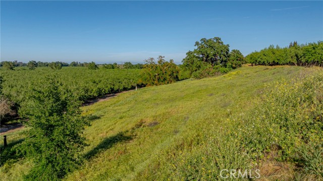 Detail Gallery Image 18 of 23 For 0 Livingston Cressey Rd, Livingston,  CA 95334 - – Beds | – Baths