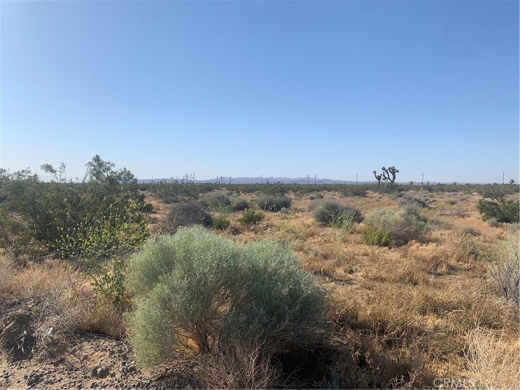 MLS #HD25220747 image #23