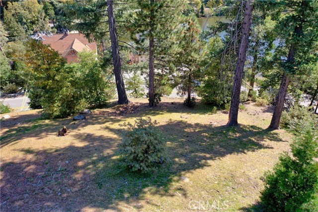 788 Brentwood Drive, Lake Arrowhead, California 92352, ,Land,For Sale,788 Brentwood Drive,CRRW23204974