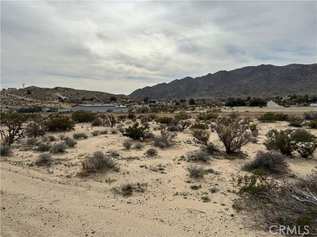 Detail Gallery Image 3 of 3 For 0 Joshua Dr, Twentynine Palms,  CA 92277 - – Beds | – Baths