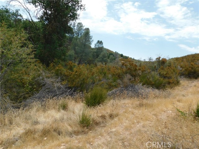 9890 Huer Huero Road, Creston, California 93432, ,Land,For Sale,9890 Huer Huero Road,CRNS23140865