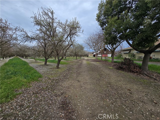 Detail Gallery Image 4 of 13 For 19688 Santa Fe, Escalon,  CA 95320 - – Beds | – Baths