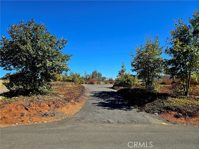 Front Image Thumbnail for CRSN26224989