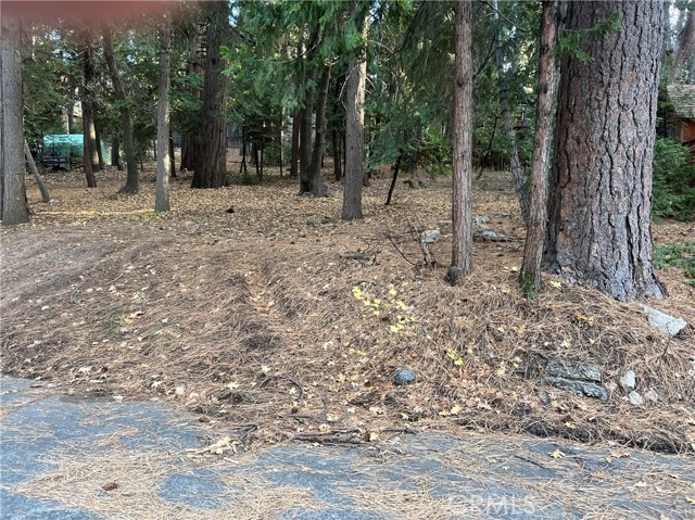 Front Image Thumbnail for CRIG25267668