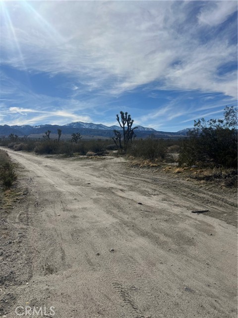 Detail Gallery Image 9 of 15 For 206 S Cor Ave X Largo Vista 2, Llano,  CA 93544 - – Beds | – Baths