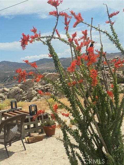 Detail Gallery Image 11 of 22 For 6161 Mirlo Rd, Yucca Valley,  CA 92284 - 2 Beds | 2 Baths