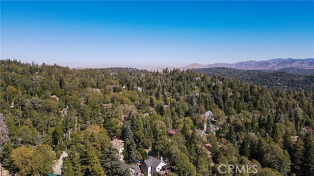 Detail Gallery Image 56 of 60 For 325 Cedarbrook Dr, Twin Peaks,  CA 92391 - 3 Beds | 2/1 Baths